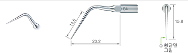 Endodontics/E4 -varios